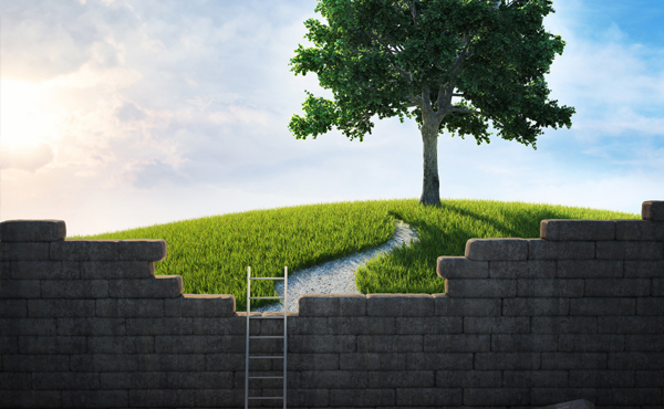 Dessin illustr├® dÔÇÖun mur et dÔÇÖune ├®chelle laissant entrevoir un arbre luxuriant